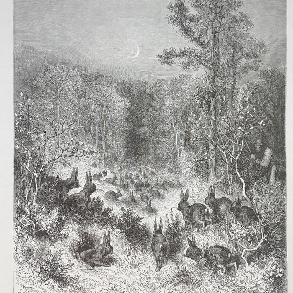 Dore, Fables, Rabbits, Two Adventurers, Print, Bookplate, Art, ~ 240706-WH 290